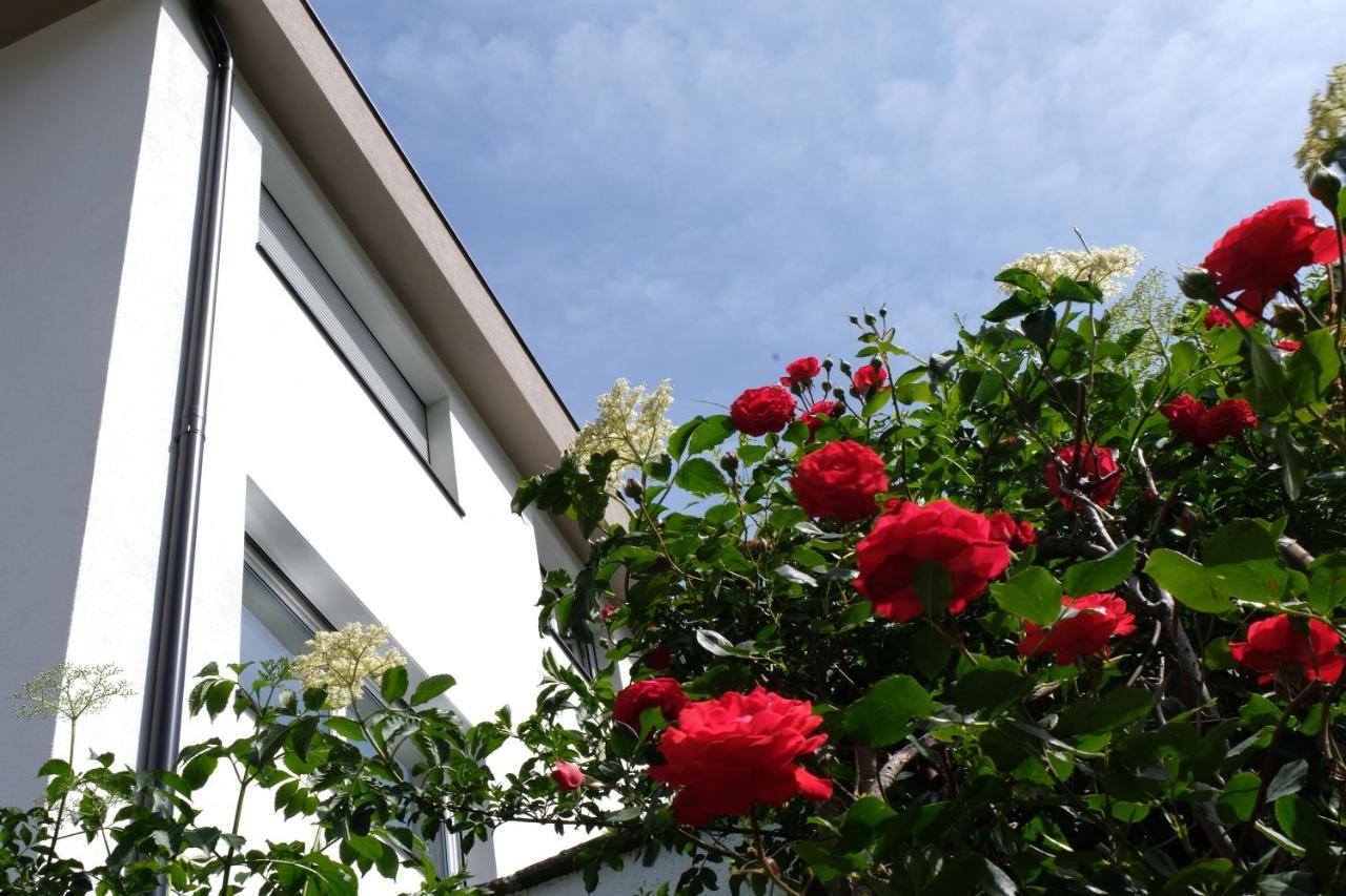 Apartment Le Rose Di Marianne - Sud Vahrn Eksteriør bilde